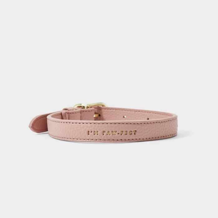 Katie Loxton - Dog Collar - Pink - S/M